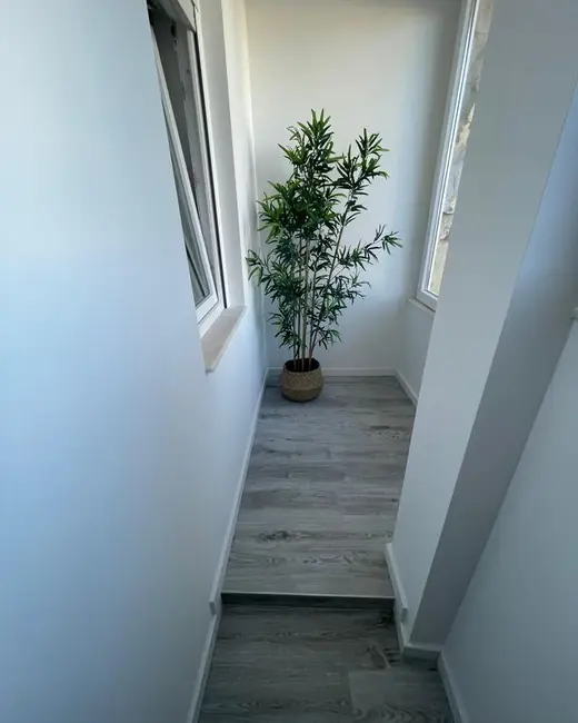 Interiores — pavimento e pintura, obra da Rabisco Boreal